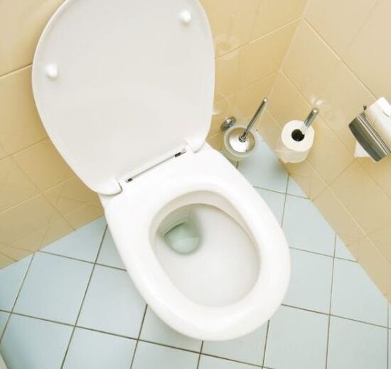 how to unblock toilet at home