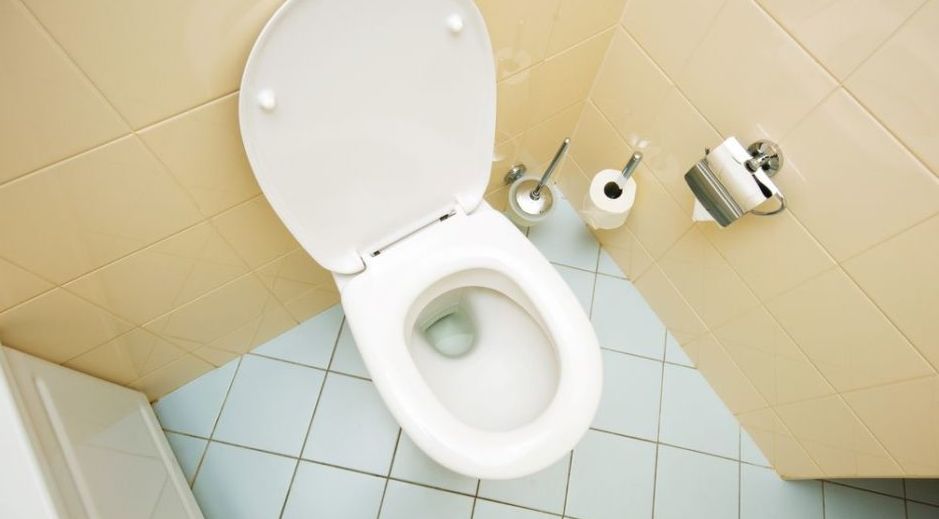 how to unblock toilet at home